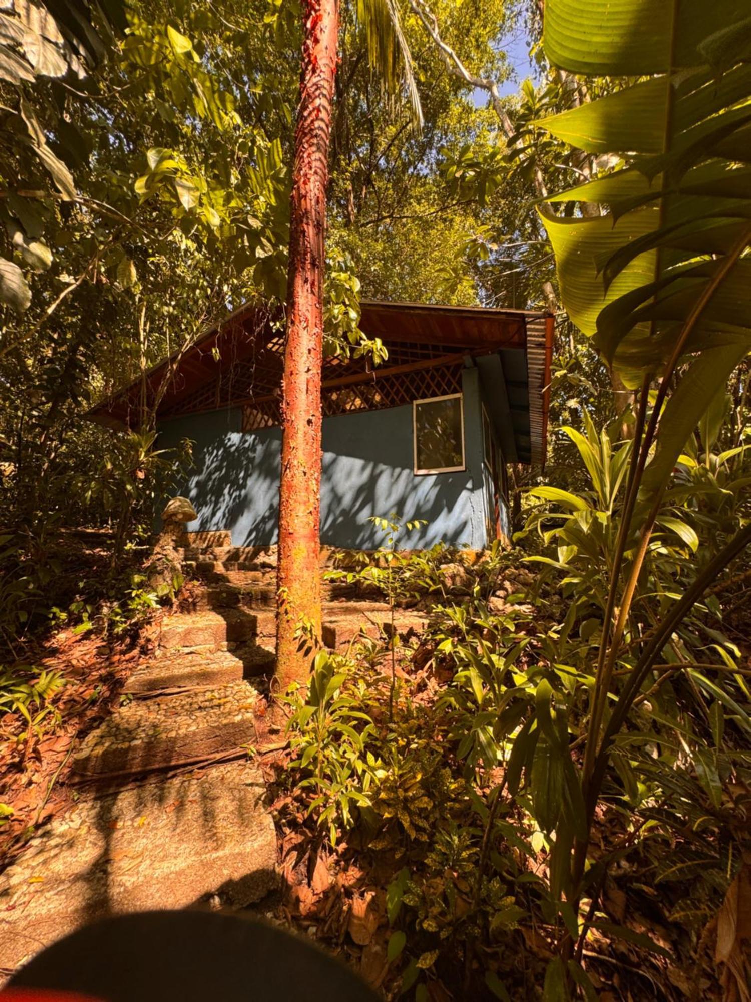 Finca Tatin Izabal Exterior foto